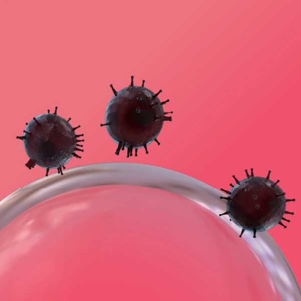 Antifungal category image