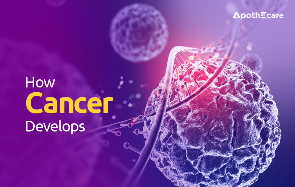 How Cancer Develops