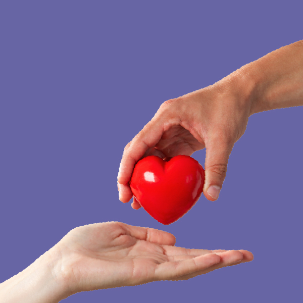 Transplant category image